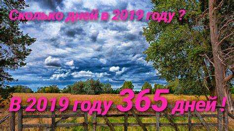 В каких случаях важно знать точное количество дней в возрасте 19 лет