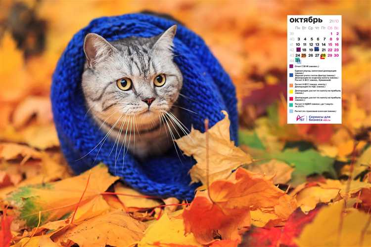 Как учесть изменения в календаре для точного подсчёта дней в октябре 2022 года