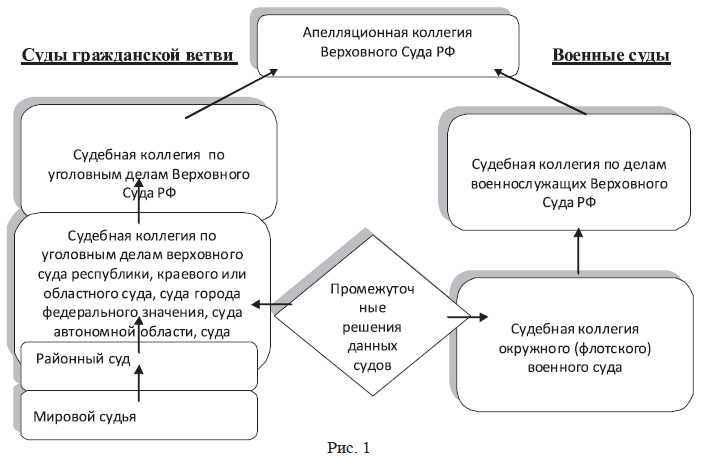 Сколько готовится определение суда апелляционной инстанции Сколько готовится определение суда апелляционной инстанции