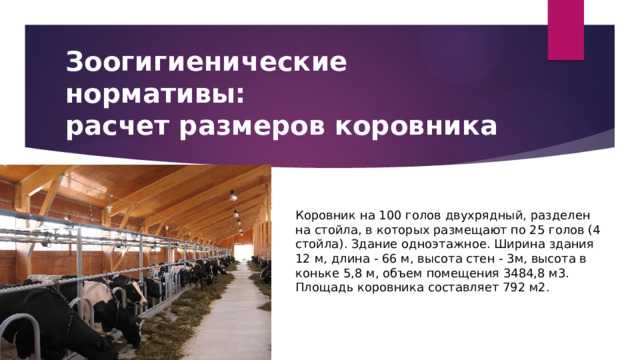 Регистрация КРС в личном подсобном хозяйстве и уведомление органов