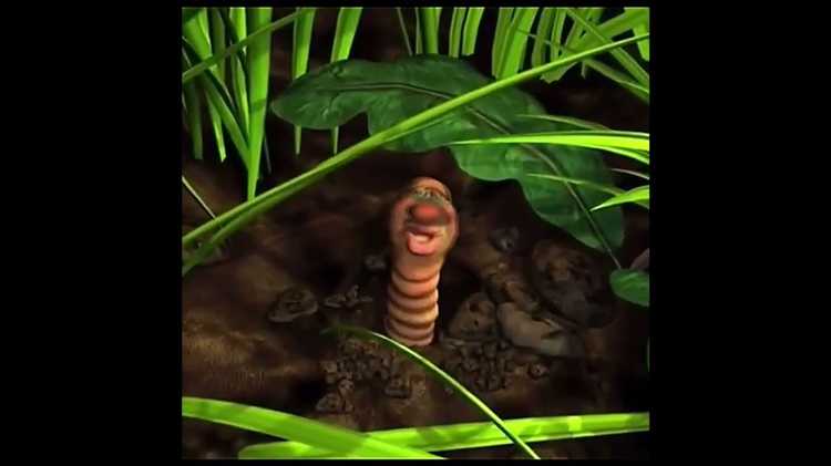 Какие программы считаются высшим образованием для подсчёта