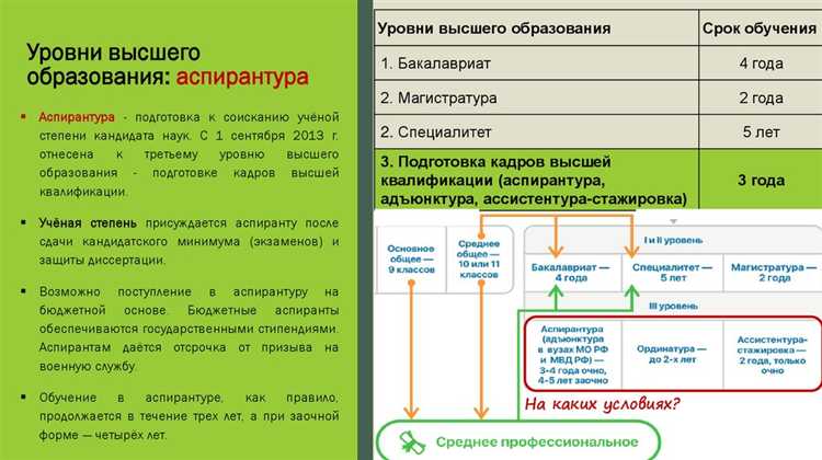 Сколько образовательных уровней цензов установлено в рф Сколько образовательных уровней цензов установлено в рф
