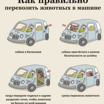 Сколько пороха можно перевозить в машине