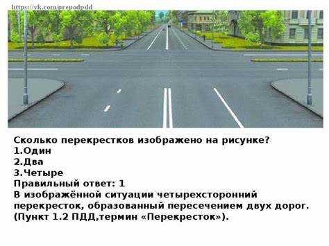 Сколько проезжих частей имеет дорога Сколько проезжих частей имеет дорога