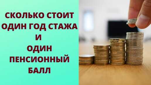 Как узнать количество пенсионных баллов, накопленных за год