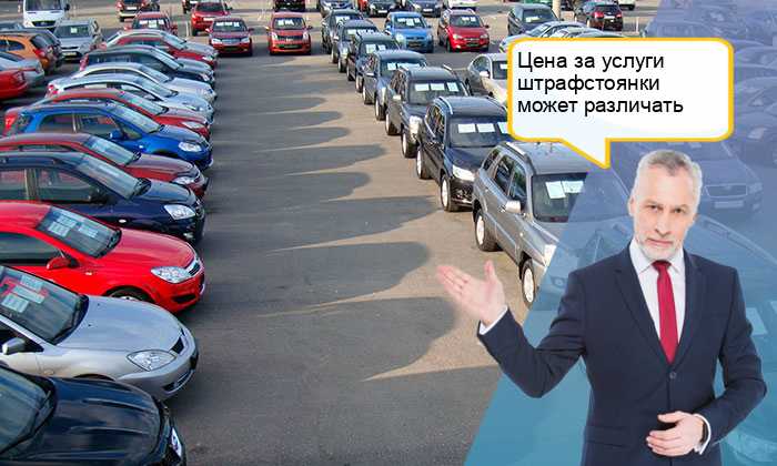 Какие категории транспортных средств оплачивались по разным ставкам