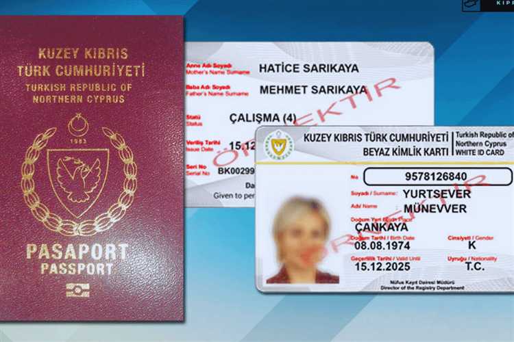 Дополнительные расходы: медицинская страховка, переводы, нотариусы