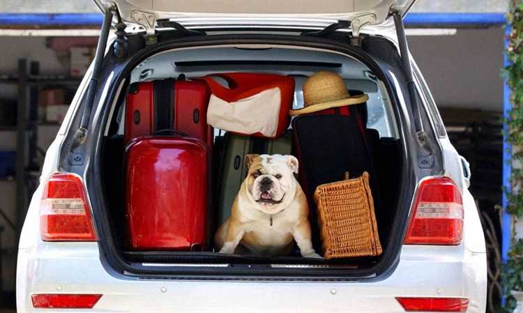 Сколько времени дают на переезд по программе реновации