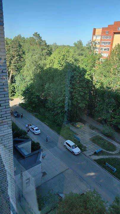 Сроки вызова и фиксации ДТП сотрудниками ДПС