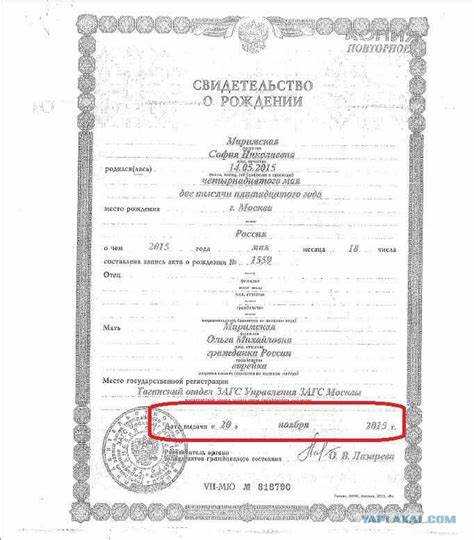 Типичные ошибки при работе со сведениями об актовой записи и их последствия