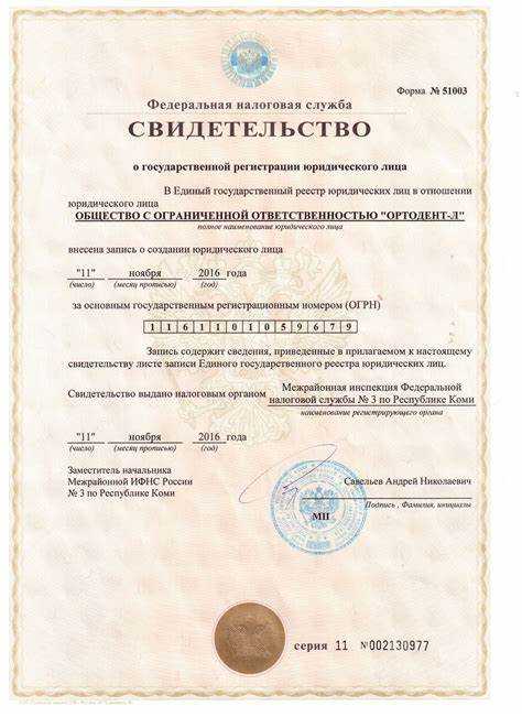 Сведения об органах юридического лица что писать