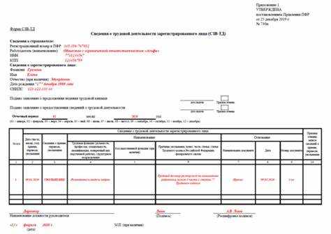 Сзв стаж кто сдает и когда Сзв стаж кто сдает и когда