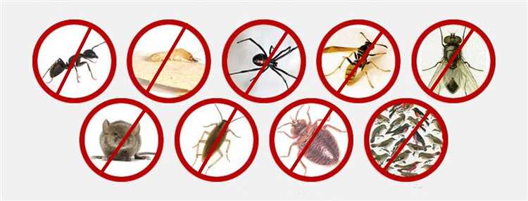 Регулярность проведения дератизации в общественных местах и транспорте