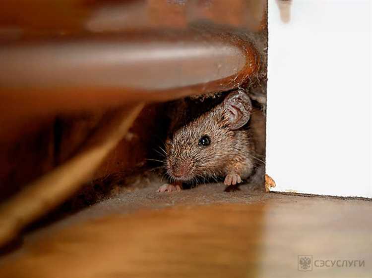 Периодичность обработки территорий возле промышленных объектов