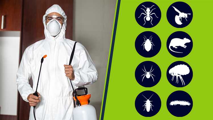 Как часто должна проводиться профилактическая дератизация Как часто должна проводиться профилактическая дератизация