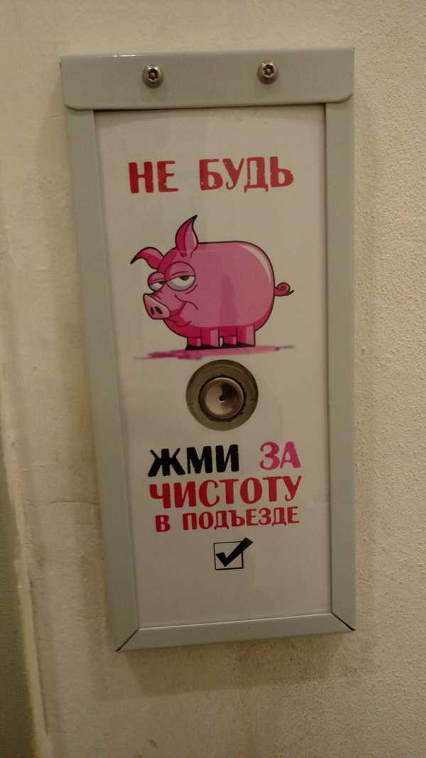 Что включают правила санитарного содержания общего имущества