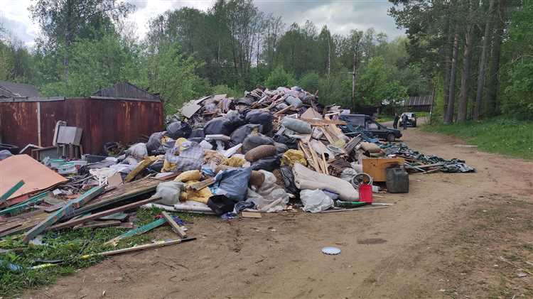 Как часто должны вывозить мусор Как часто должны вывозить мусор