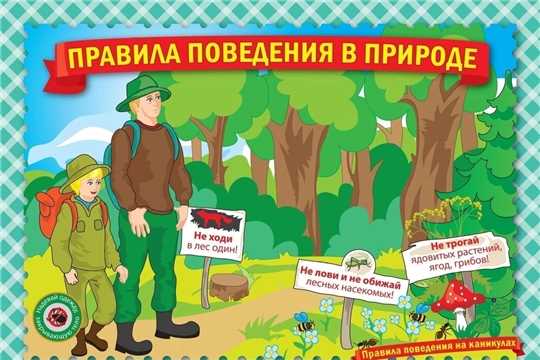 Когда необходимо проводить внеплановый осмотр строительных лесов