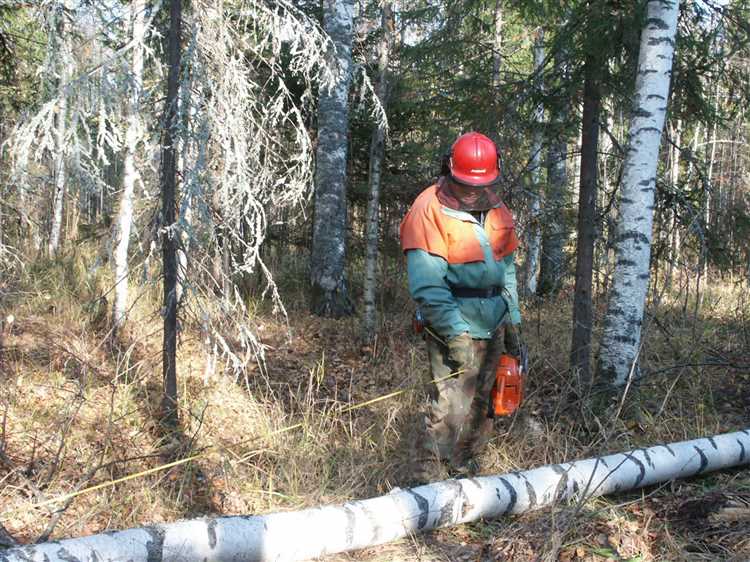 Как учитывать погодные условия при определении сроков осмотров