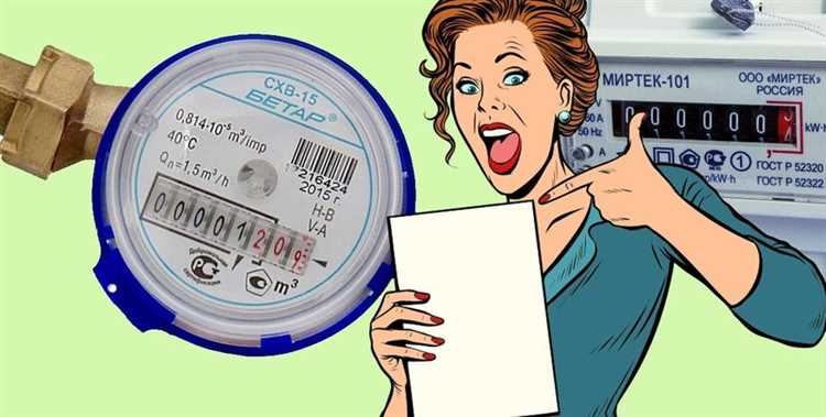 Какие виды счётчиков подлежат регулярной проверке управляющей компанией