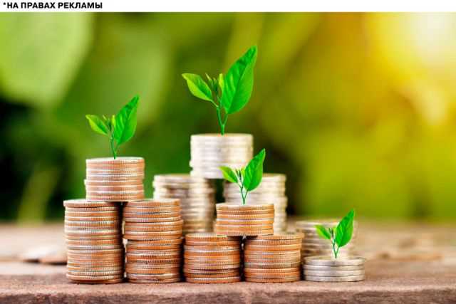 Финансовый управляющий отвечает за планирование и распределение денежных ресурсов таким образом, чтобы обеспечить стабильный доход для семьи или организации. Его задача – не просто контролировать бюджет, а создавать финансовую устойчивость, минимизируя риски и максимально эффективно используя доступные средства.