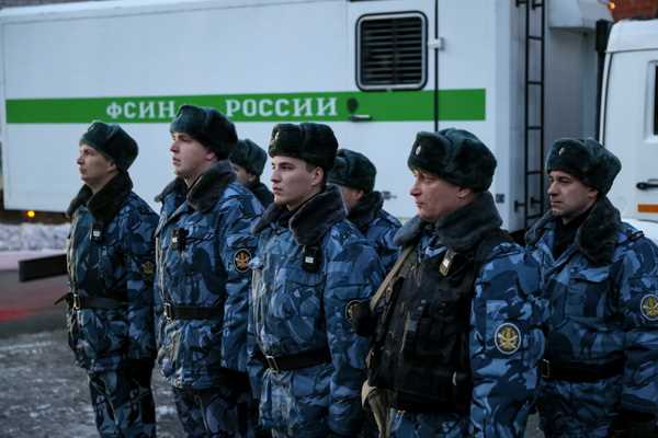 Как работает система отчетности и проверок через мобильные приложения