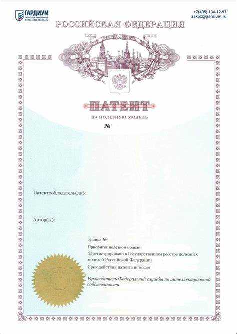 Использование срока действия патента и возможности признания его недействительным