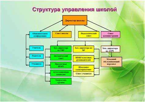 Как образовательная организация формирует свою структуру Как образовательная организация формирует свою структуру