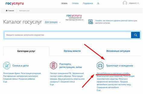 Как проверить статус оплаты услуги в личном кабинете