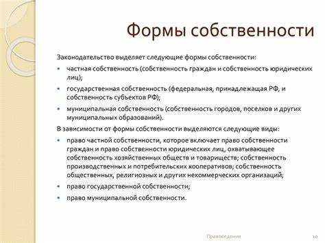 Как форма собственности влияет на права и обязанности организации