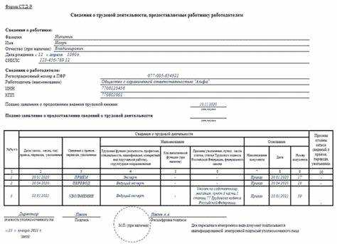 Пошаговая инструкция по подаче заявления на отказ от электронной трудовой книжки