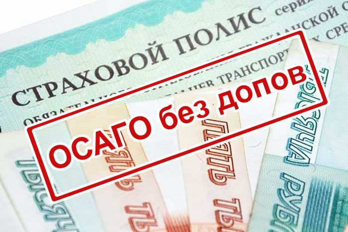 Определение сроков подачи заявления на отказ от страховки