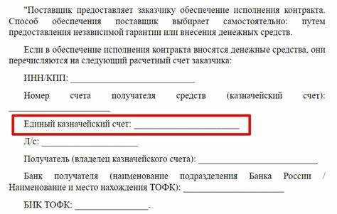 Пошаговый алгоритм подачи заявления на открытие казначейского счета