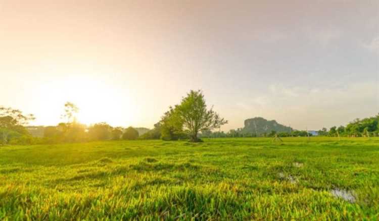 Как оформить отчет об оценке земельного участка