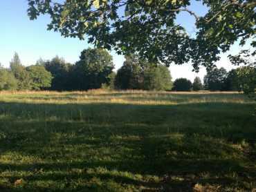 Роль экспертизы и оценки воздействия на окружающую среду при переводе земли