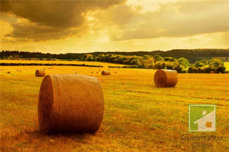 Требования к документам для подачи заявления на перевод земли