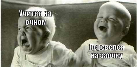 Какие документы понадобятся для перевода