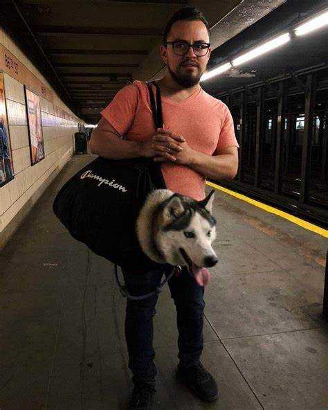 В каком количестве допускается перевозка патронов