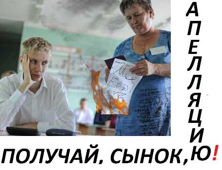 Подготовка заявления на апелляцию: что важно учесть