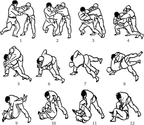 Как получить кмс по дзюдо Как получить кмс по дзюдо