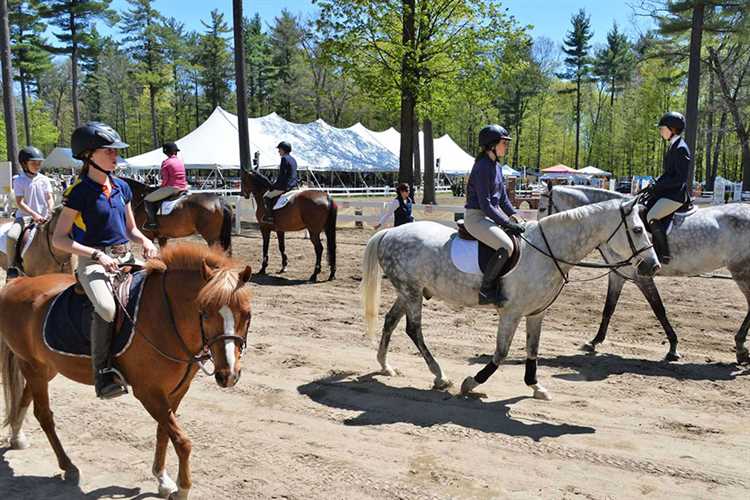 Какие дисциплины конного спорта входят в систему присвоения КМС