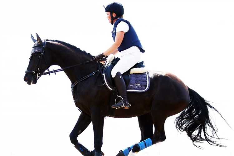 Какие документы необходимо собрать для подачи на звание КМС