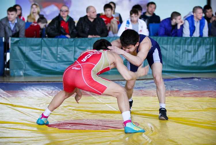 Как получить мастера спорта по вольной борьбе Как получить мастера спорта по вольной борьбе