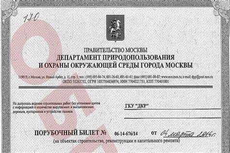 Порядок подачи заявления на порубочный билет