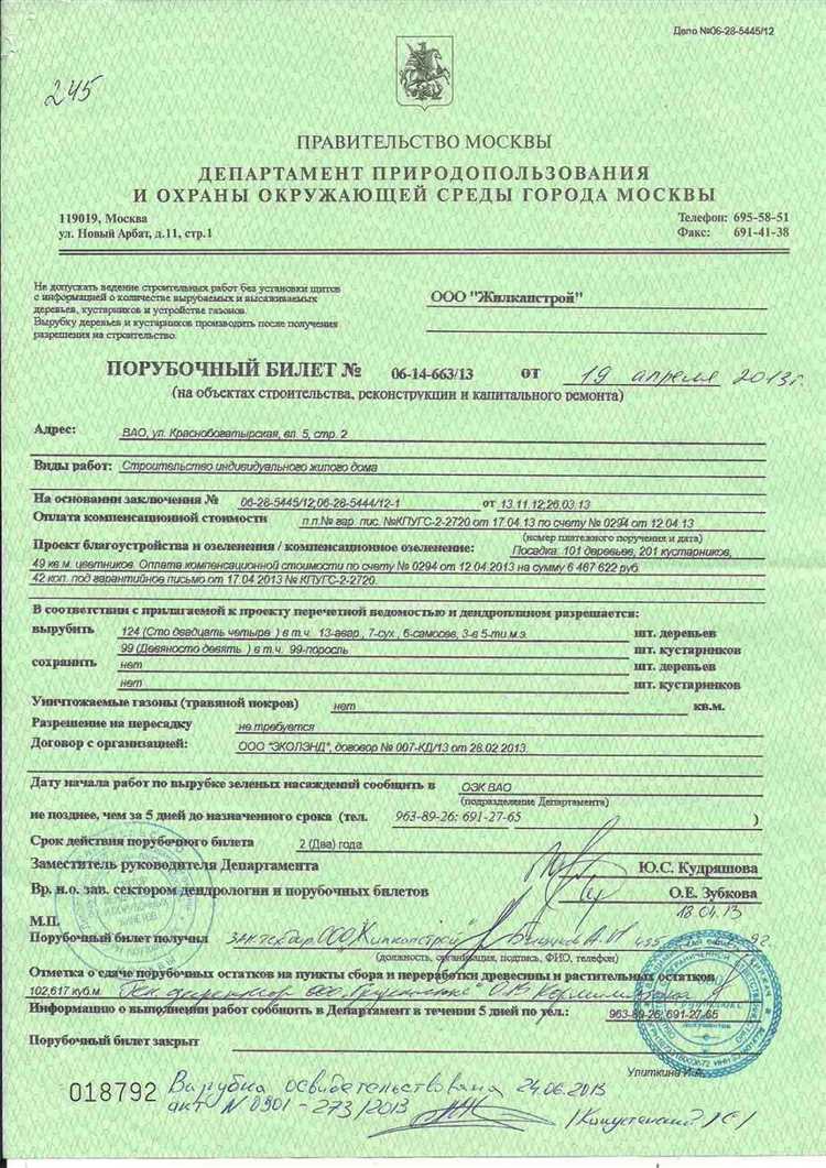 Ответственность за незаконную рубку без порубочного билета