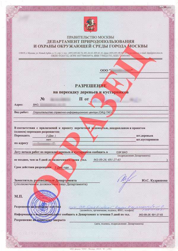 Как получить порубочный билет в москве Как получить порубочный билет в москве