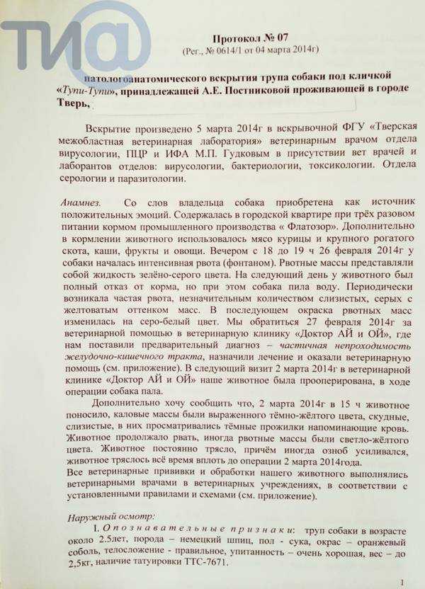 Как подать письменный запрос на выдачу документа