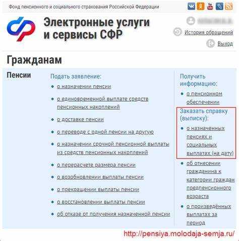 Подача запроса через портал «Госуслуги» шаг за шагом