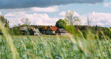 Как найти услугу по запросу устава СНТ на портале Госуслуг