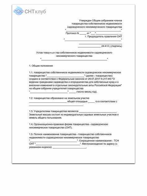 В какие сроки приходит устав СНТ и в каком виде его выдают